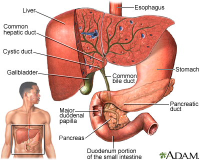Gallbladder Disease Caused By Weight Loss