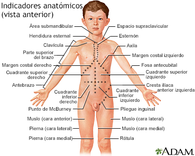 Adelgazar y encontrar el amor