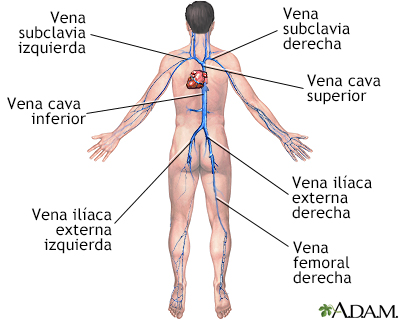 Como librarse de varikoza de las venas del perol pequeño